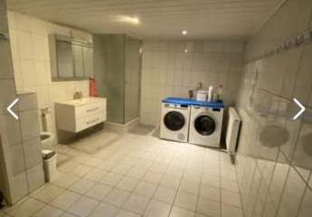 382454-Vorschaubild4