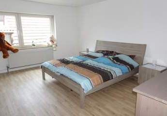 323996-Vorschaubild3