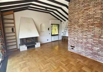 430557-Vorschaubild3