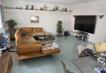 442463-Vorschaubild2