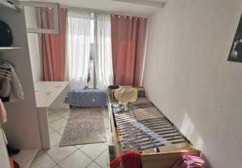 386654-Vorschaubild4