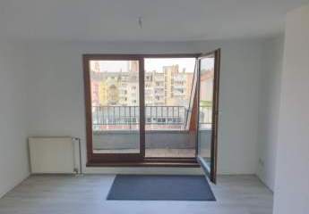 222446-Vorschaubild4