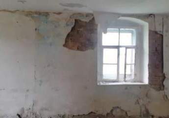 225330-Vorschaubild3