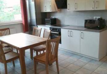 426069-Vorschaubild4