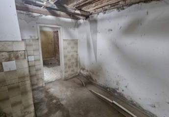 431781-Vorschaubild3