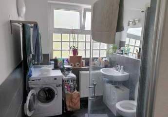 224981-Vorschaubild3