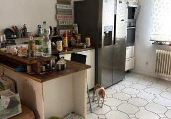 388225-Vorschaubild4