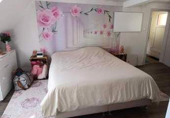 376567-Vorschaubild4