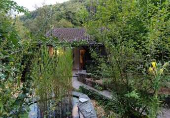 377156-Vorschaubild4