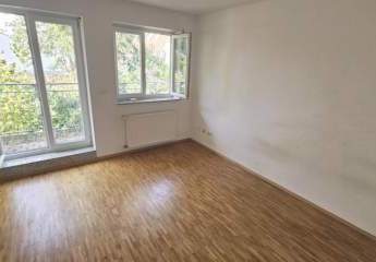 450050-Vorschaubild3