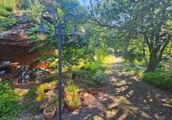 456946-Vorschaubild3