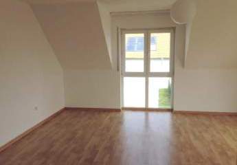 460433-Vorschaubild3