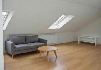 416752-Vorschaubild3