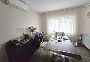 403054-Vorschaubild3