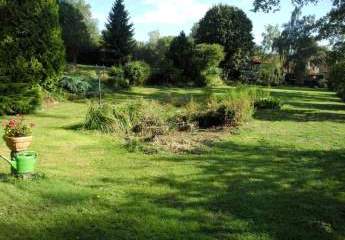 431609-Vorschaubild3