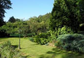 431609-Vorschaubild4