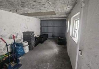 431780-Vorschaubild3