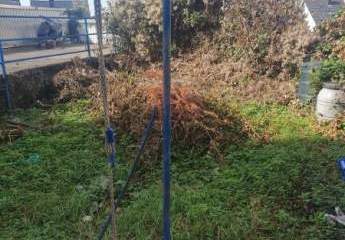 324213-Vorschaubild4