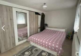 382456-Vorschaubild2