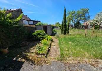 418825-Vorschaubild2