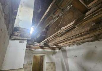 431781-Vorschaubild3