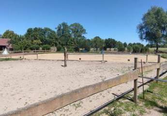 433001-Vorschaubild4