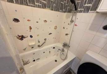 453551-Vorschaubild3