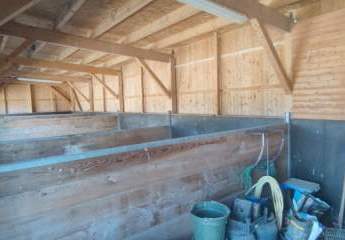 436512-Vorschaubild4