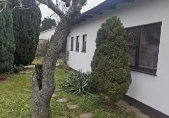 2 verbundene Einfamilienhäuser in ruhiger Wohngegend in Michelstadt