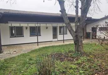 463157-Vorschaubild3