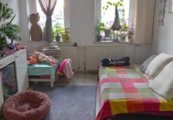 456559-Vorschaubild3