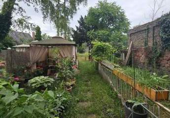 424906-Vorschaubild3