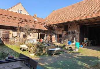 402591-Vorschaubild3