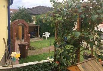 392591-Vorschaubild3