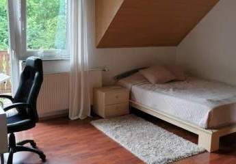 233679-Vorschaubild3