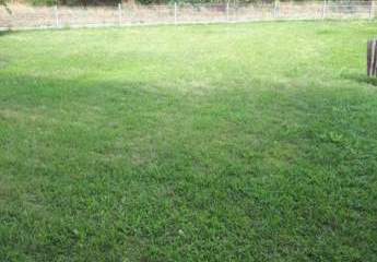 234815-Vorschaubild4