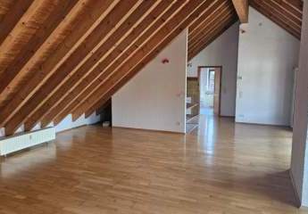 484196-Vorschaubild3