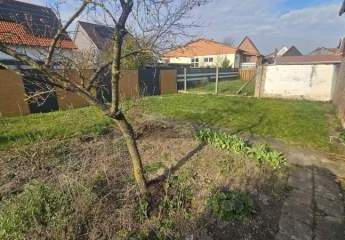 484199-Vorschaubild2