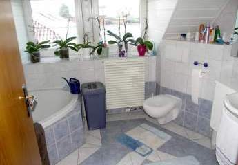 484693-Vorschaubild3