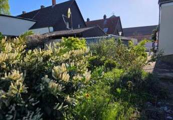 Solide Doppelhaushälfte mit großem Garten; Hof mit Einfahrt und kleinem Nebengebäude