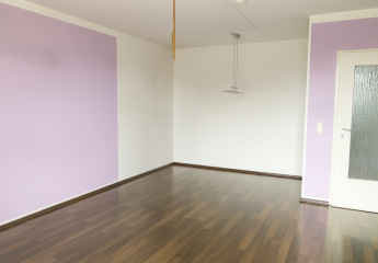 455921-Vorschaubild3