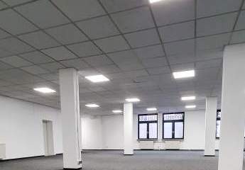 419777-Vorschaubild3