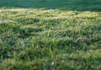 10.000 m² großes landwirtschaftliches Grundstück in Oprtalj