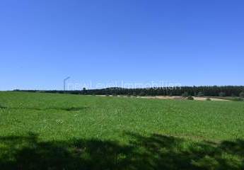 378686-Vorschaubild2
