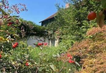 458811-Vorschaubild2