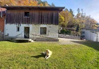 463676-Vorschaubild3