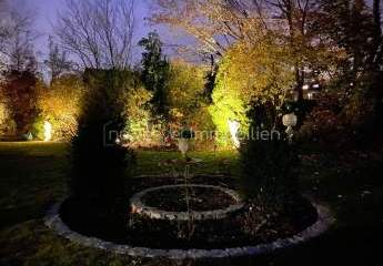 464976-Vorschaubild3