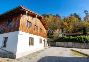 463676-Vorschaubild3