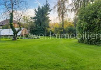 468578-Vorschaubild4