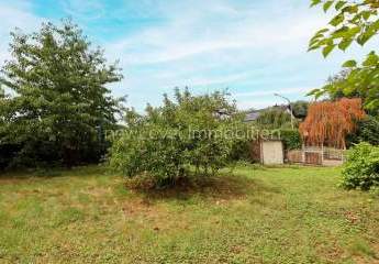 462232-Vorschaubild3